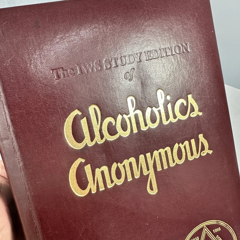 VTG Alcoholics Anonymous AA IWS Big Book Study Edition San Diego 1995 Convention
